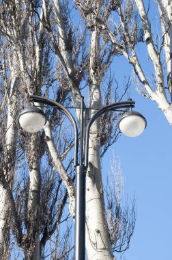 Mavi gökyüzüne ve piramit kavak ağaçlarına karşı yanan fener..