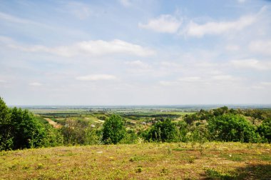 Yeşil çimlerin, ağaçların yaz panoramik manzarası. Yaz bulutlu günü.