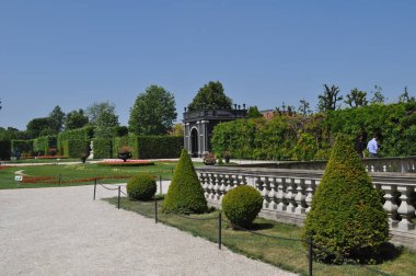 Kesilmiş ağaçlar ve çalılarla parkın panoramik manzarası. Schnbrunn Sarayı, Viyana Avusturya, 20 Mayıs 2012.