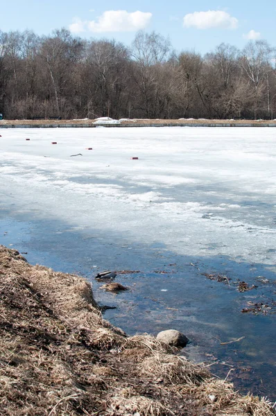 Vista Panorámica Del Lago Aguas Claras Largo Costa Hielo Derretido — Foto de Stock