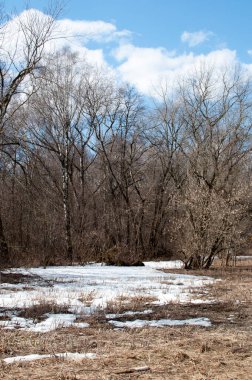 Bahar panoraması. Kar kalıntılarıyla dolu bir açıklık. Güneşli bahar günü.