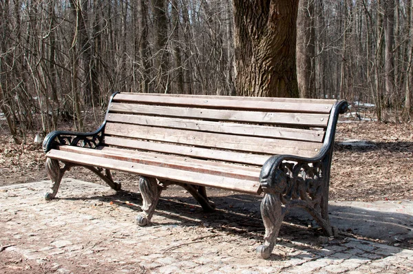 Güneşli bir bahar gününde parkta bankın, çalıların ve ağaçların manzarası.