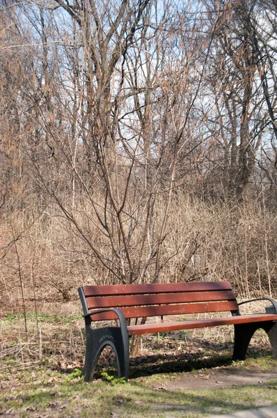 Banc Bois Dans Allée Parc Sur Fond Arbres Buissons Sans — Photo