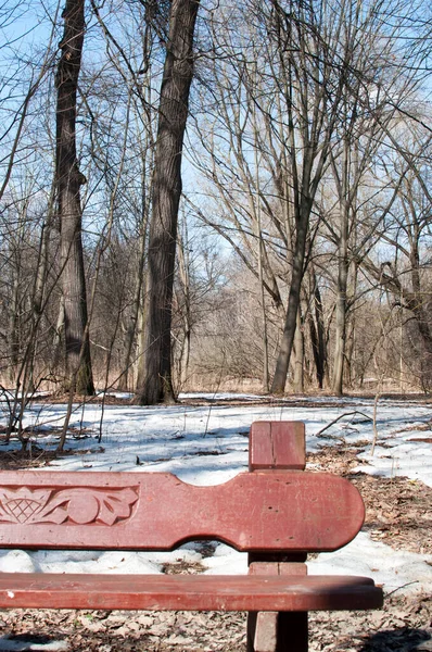 Panorama Parc Hiver Printemps Banc Pour Reposer Faire Fondre Neige — Photo