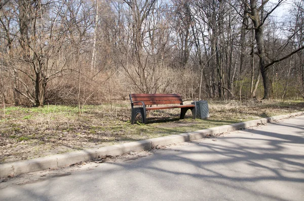 Panoramisch Uitzicht Het Parksteegje Met Een Houten Bank Uitzicht Struiken — Stockfoto