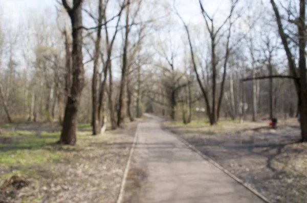 Zamazane Tło Alejki Drzew Parku Miejskiego Tło Bokeh — Zdjęcie stockowe