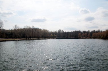 Sakin göl, su ve ağaçların panoramik manzarası. Bahar güneşli gün.