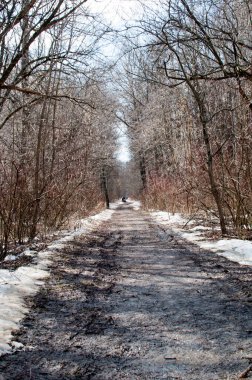 Bahar Parkı. Parkın ara sokağı erimiş karla ıslanmış. Yolun kenarlarında kar var..