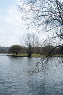 Doğa, bahar. İkamet binalarının arka planında ağaçlarla birlikte adanın manzarası.
