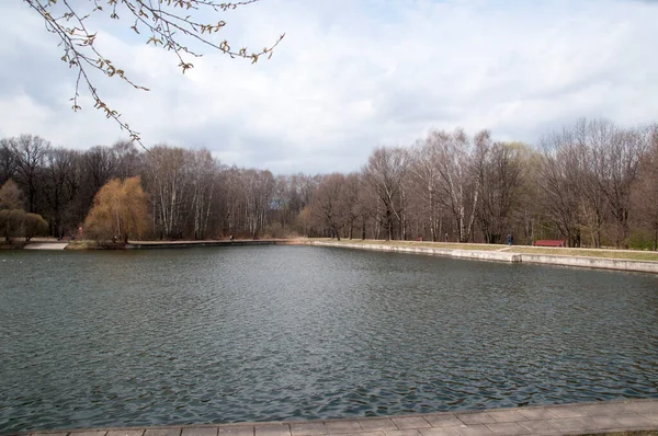 看到一个有混凝土堤的大池塘 春天阳光普照的公园里 — 图库照片