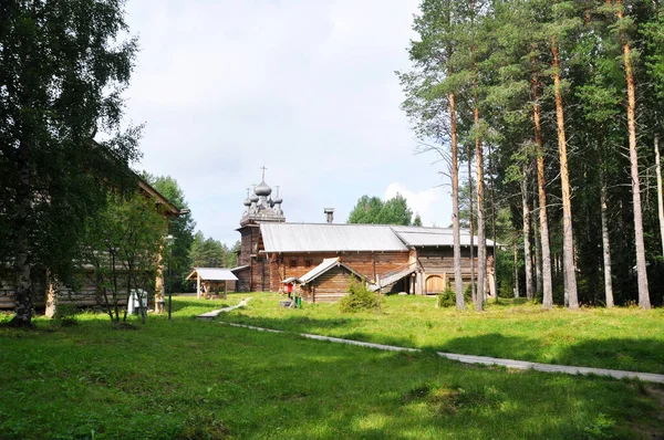 Ormandaki odun evlerinin panoramik manzarası. 03 Ağustos 2020, Arkhangelsk, Rusya