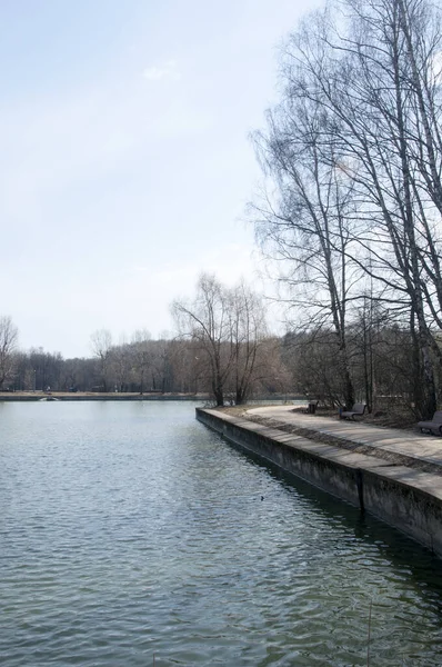 Vue Sur Remblai Pierre Les Arbres Étang Ville Début Printemps — Photo