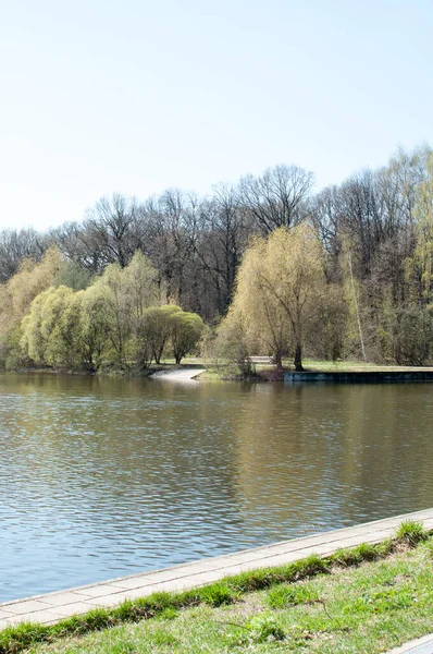 Panorama Parc Ville Lac Rives Avec Herbe Verte Grands Arbres — Photo