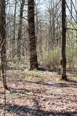 Spring City Parkı 'nın panoramik manzarası