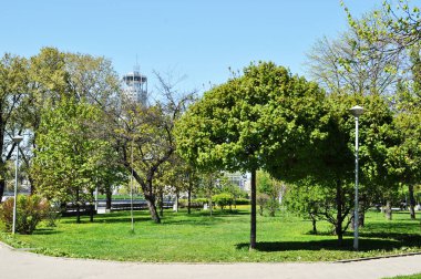 Şehir meydanının bahar manzarası. Yeşil ağaçlar, patika ve parktaki aydınlatma direği. Bahar güneşli gün.
