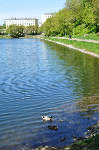 Vue Étang Monastère Avec Des Canards Sur Rivage Panorama Printanier — Photo