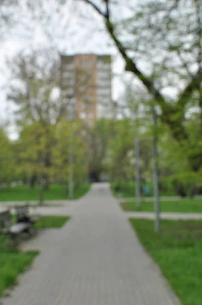 模糊的背景 城市广场上的树木 柏油路和房子模糊不清 — 图库照片