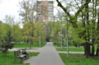 Şehir meydanının bulanık arka planı. Odaklanamayan ağaçlar ve bir park yolu.