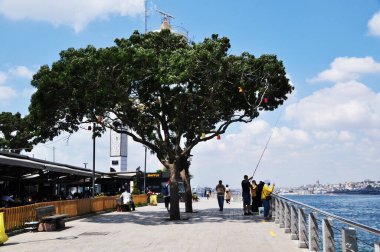 Boğaz 'ın setinin panoramik manzarası. Güzel ağaç, sokak kafesi ve balıkçılar. 11 Temmuz 2021, İstanbul, Türkiye