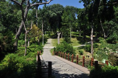 Şehir parkının panoraması. Güzel köprü, parktaki ağaçlar. Açık yaz günü.
