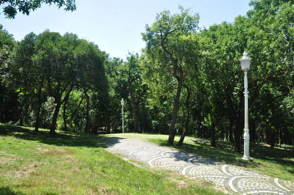 Vista Prado Ensolarado Parque Grandes Árvores Beco Pedras Coloridas — Fotografia de Stock