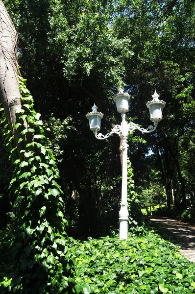 Beautiful lamppost in the park. Panoramic view of the city park. Summer sunny day.