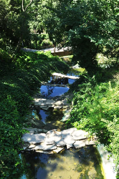 Száraz Patak Sekély Vízzel Városi Park Nyáron Park Panorámája — Stock Fotó