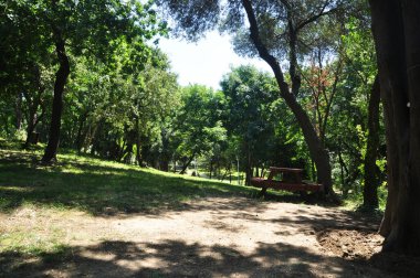 Güneşli bir yaz gününde şehir parkı. Parkta dinlenmek için masa ve banklar..