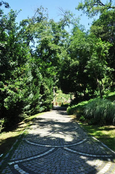 Bellissimo Vicolo Del Parco Fiancheggiato Mosaici Pietra Panorama Del Parco — Foto Stock