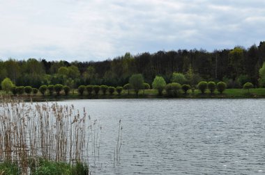Orman gölü manzarası. Göl manzaralı Gök gürültülü bulutlar.