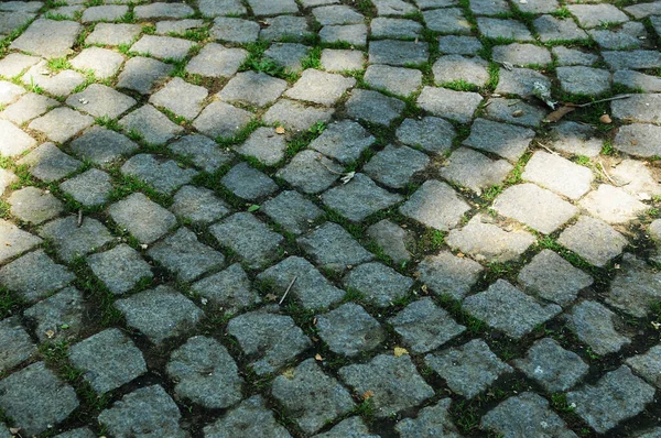 Caminho Forrado Com Pedras Quadradas Com Uma Verga Grama Verde — Fotografia de Stock