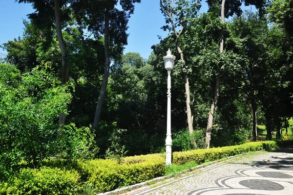 Istanbul City Park Alley Lighting Pole Park Summer Sunny Day — Stock Photo, Image