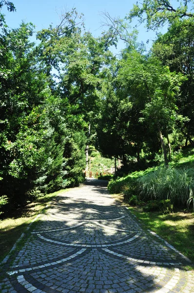 Panorama Över Stadsparken Parkgränd Gjord Stenmosaik Klar Solig Sommardag — Stockfoto