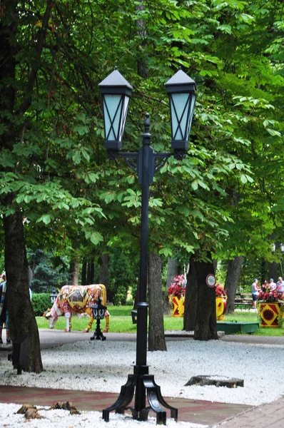 Smolensk Şehir Parkındaki Güzel Bir Sokak Lambasının Manzarası Ağustos 2021 — Stok fotoğraf