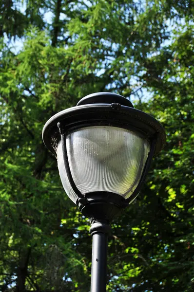 Bela Lanterna Iluminada Lâmpada Parque Contexto Árvores Verdes Fundo Bokeh — Fotografia de Stock