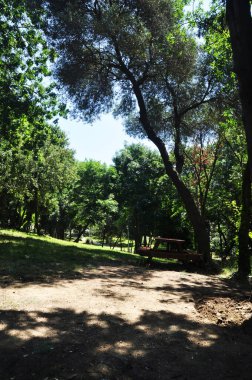 Şehir parkının panoraması. Parkta dinlenmek için masası olan bir bank..