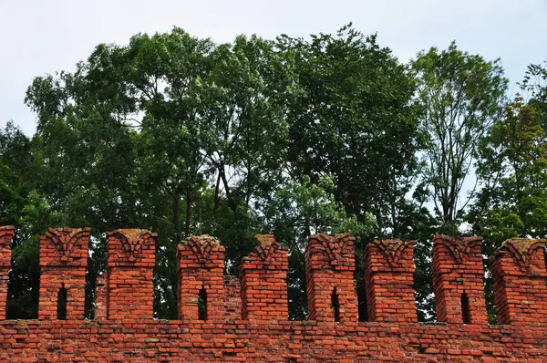 Prong Merle Sur Parapet Mur Forteresse Protection Moyen Âge Contre — Photo