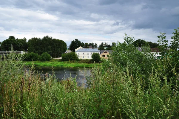 河流和住宅建筑的全景 河上的雷雨 河岸长满了高草 — 图库照片