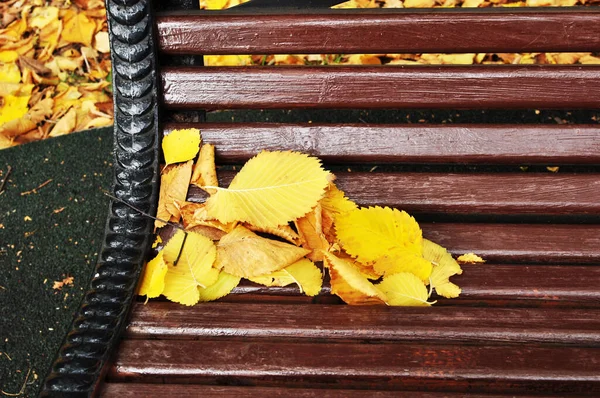 Autumn Fallen Yellow Leaves Garden Bench Background Texture Design Wallpaper — Stock Photo, Image