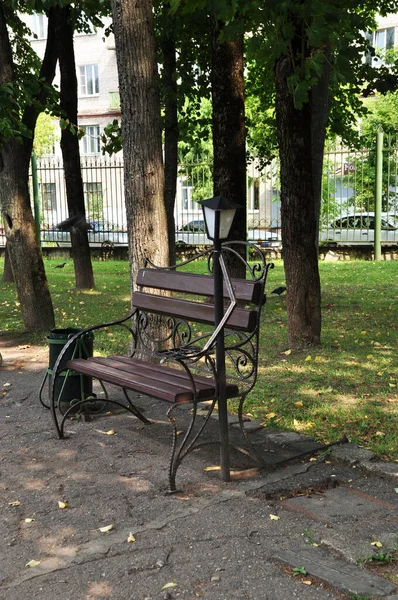 Kilátás Főtérre Gyönyörű Park Pad Egy Lámpással Nyári Nap Városban — Stock Fotó