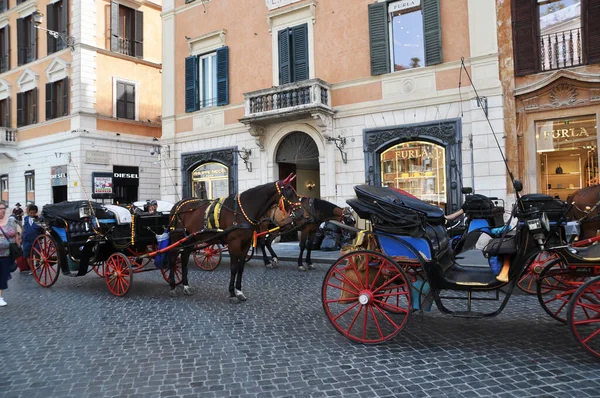 Horse Carriages Streets Rome Tourists Take Walks Streets Beautiful Carriages — Stock Photo, Image