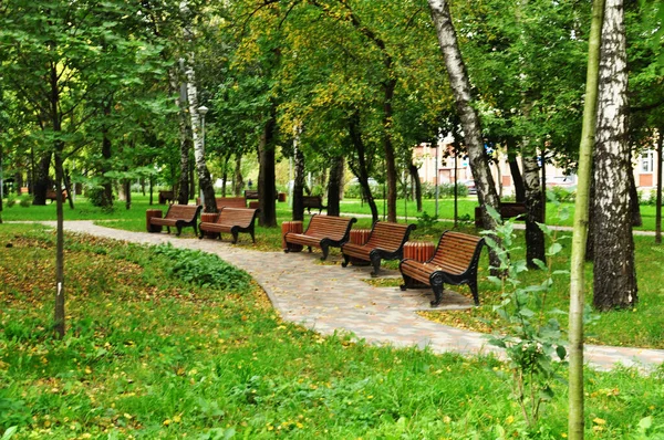 Şehir Parkının Panoraması Parkın Diğer Ziyaretçileri Için Bir Grup Bank — Stok fotoğraf