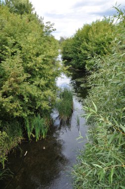 Panorama, nehrin geniş kıyıları olan manzarası. Nehir kıyısı boyunca çalılar ve uzun otlar. Arkaplan, duvar kağıdı.