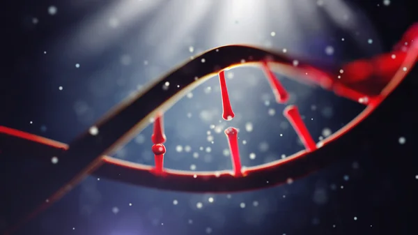 Cząsteczki DNA. Zbliżenie, koncepcja ludzkiego genomu. — Zdjęcie stockowe
