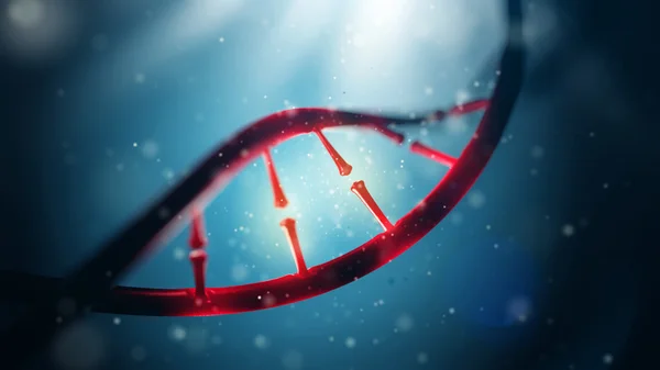 Cząsteczki DNA. Zbliżenie, koncepcja ludzkiego genomu. — Zdjęcie stockowe