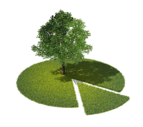Coupe transversale du sol avec herbe et arbre — Photo