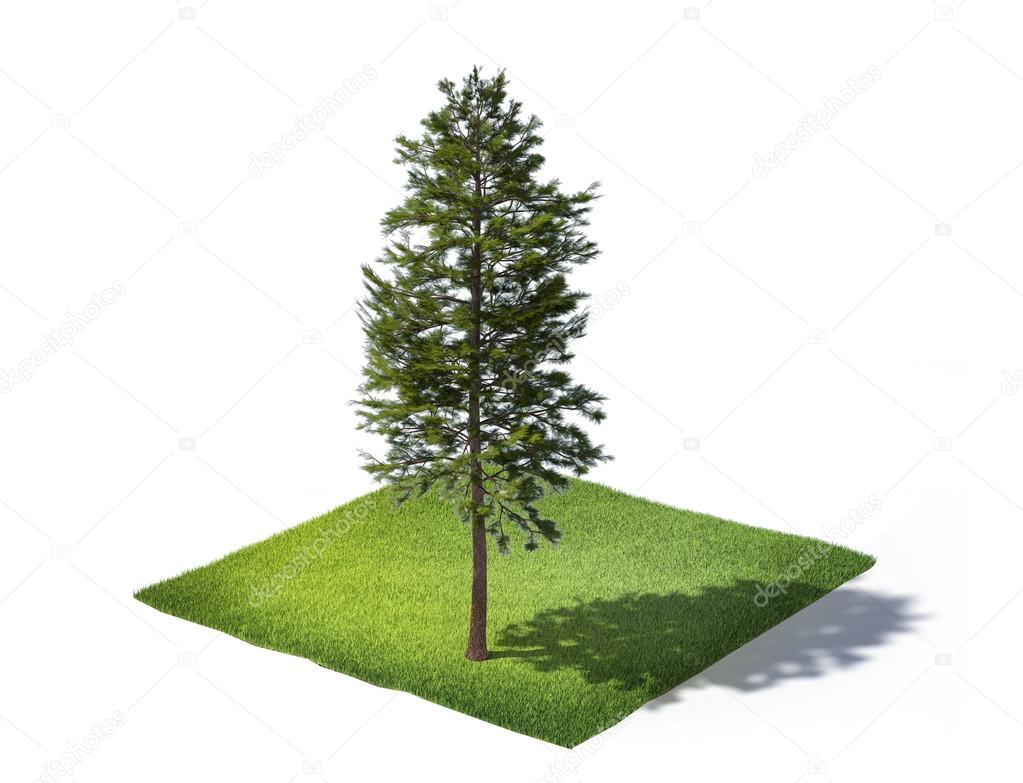 Sliced ground with grass and tree isolated on white 