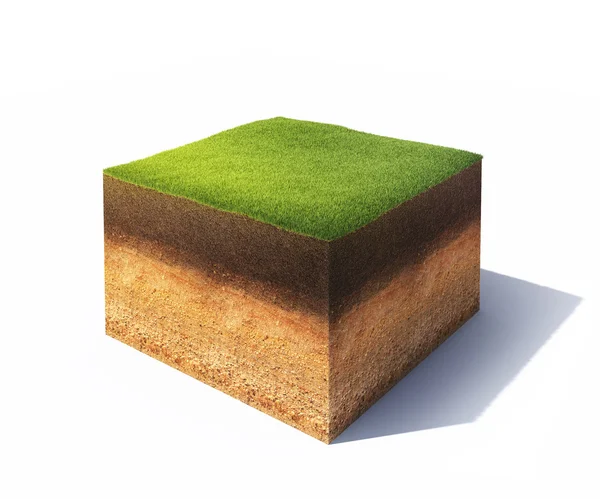 Cross section of ground — Stock Photo, Image