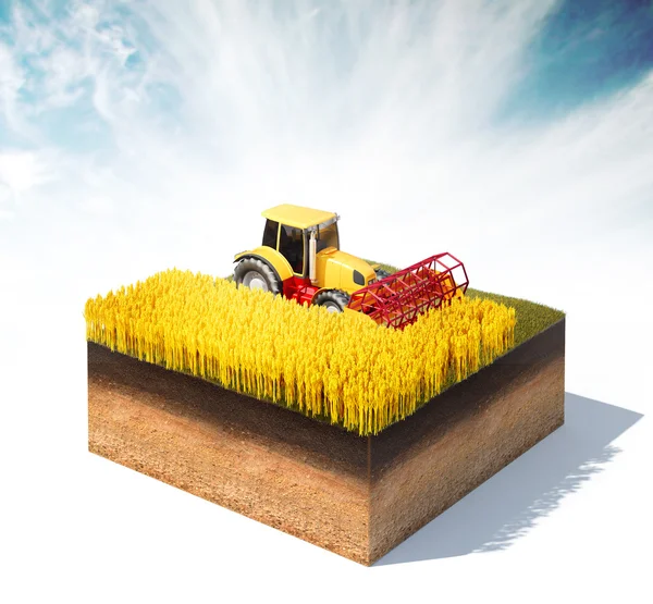 Tractor  harvesting wheat — Stock Photo, Image