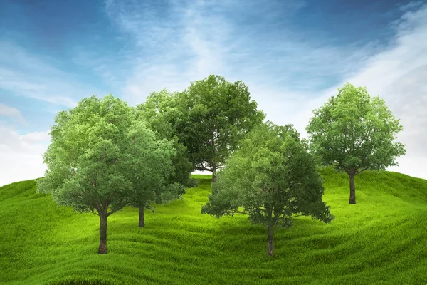 Green grass hill — Stock Photo, Image